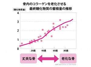 コラーゲンを老化させる糖化 最終糖化物質の蓄積推移