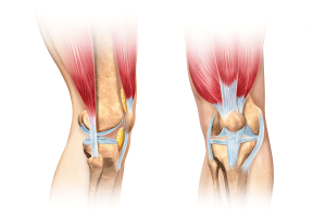 膝の筋膜